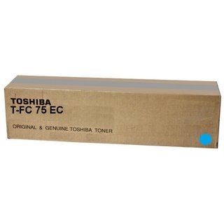 Original - Toshiba T-FC 75 EC (6AK00000251)